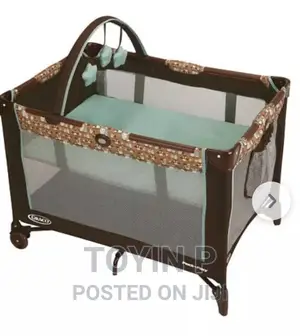 Graco Pack and Play on the Go