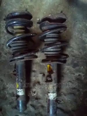 Complete Shock Absorber