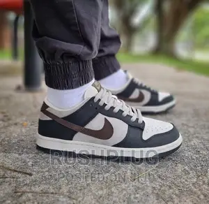 Otomo Katsuhiro X Nike Sb Dunk Low