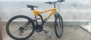 Adult Bicycle