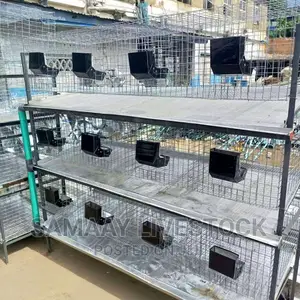 Rabbit Cage