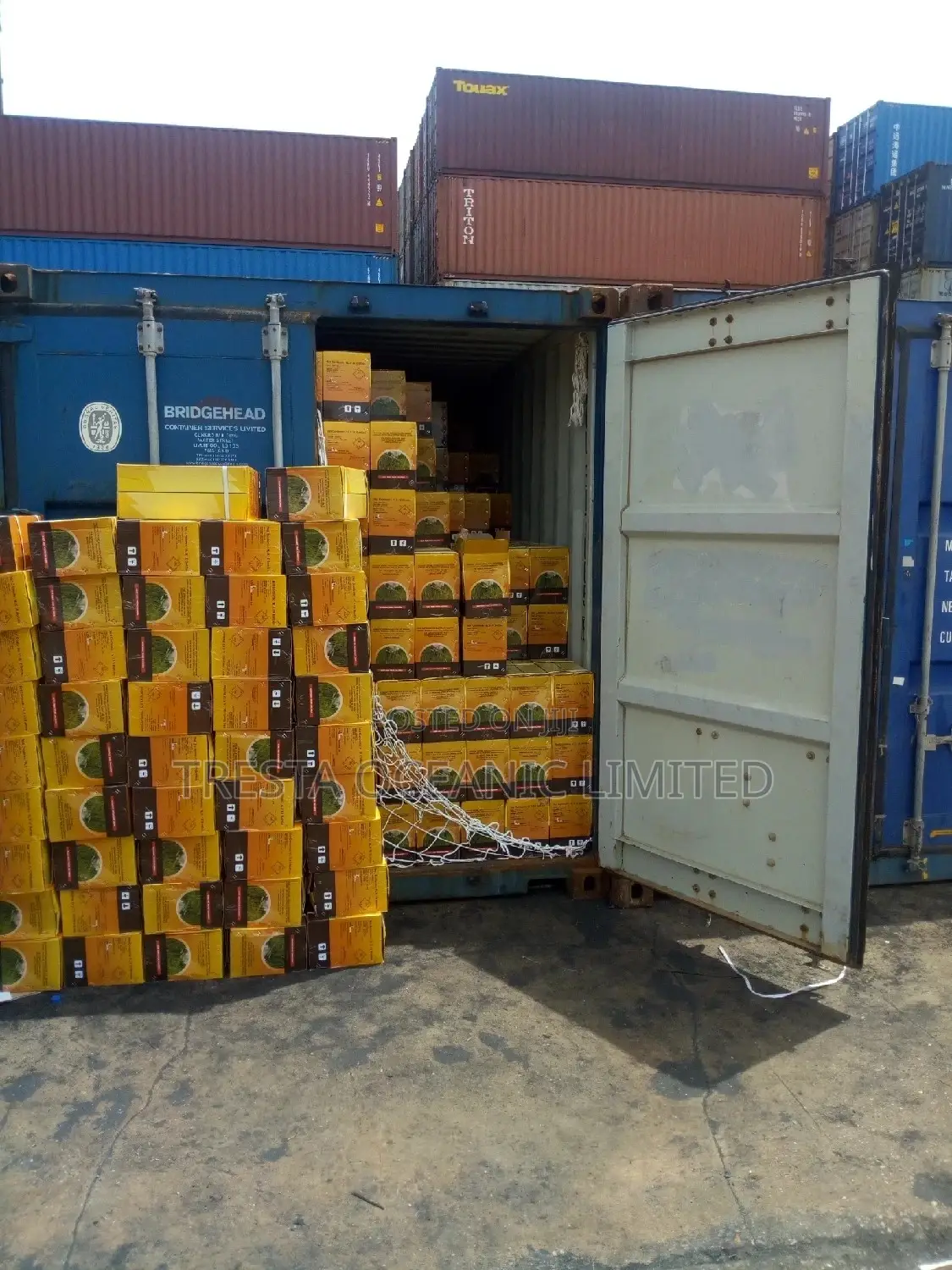 Clearing And Forwarding Agent