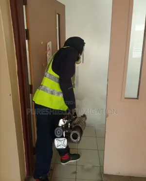 Fumigation of an Apartment in Lekki Ikate