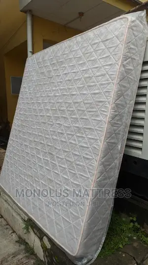 6 By 6 By 10 Inches Royal Foam Gallant Mattress
