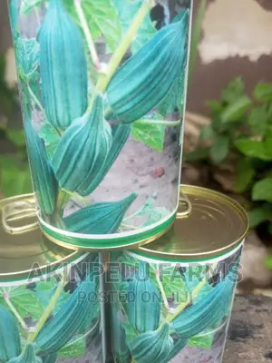 Hybrid Okro Seeds.
