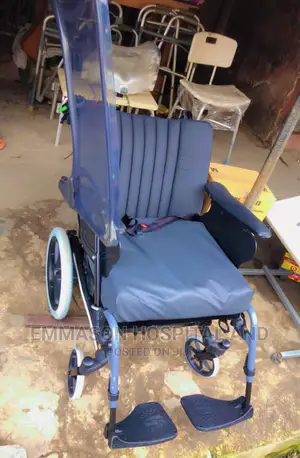 Executive Wheel Chair