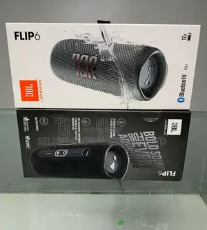 JBL Flip 6