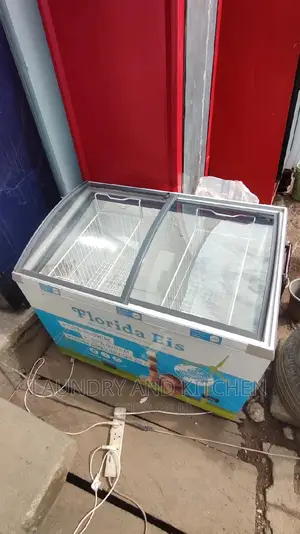Standing Display Deep Freeze for Your Ice Cream Etc