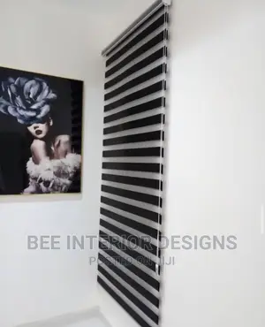 Luxury Day and Night Window Blinds