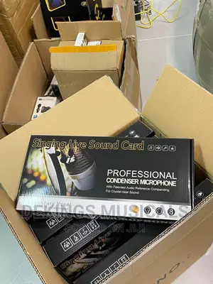 Professional Condenser Microphone Kit With Live Sound Card