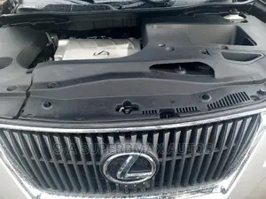 Lexus RX 350 2010 Silver