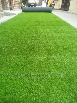 Turkish Carpet Grass