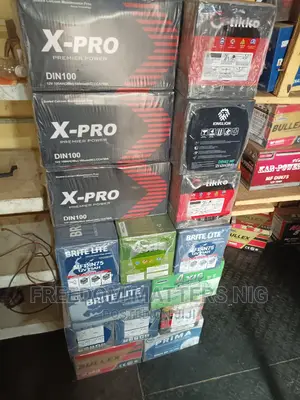 Original Korea X-Pro Battery