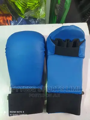 Karate Arm Meet Gloves