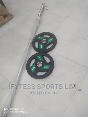 Olympic Barbell Rod With 20kg Dumbbell Plate