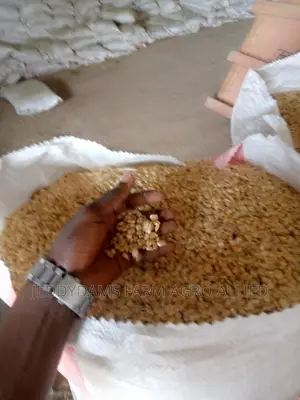 Maize Production