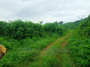 10000 Acres of Land for Sale