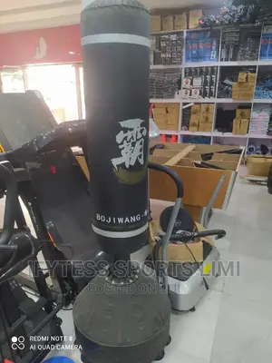 Foreign Punching Bag