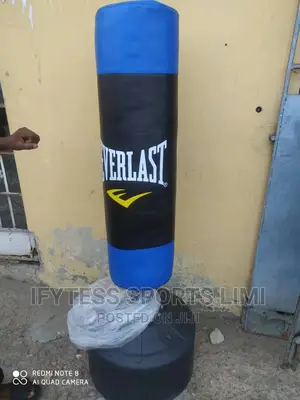 Standing Punching Bag