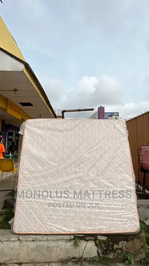 6 by 6 by 16 Inches Royal Foam Gallant Plus