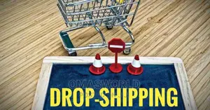 E-Commerce Dropshipping Complete Course Guide