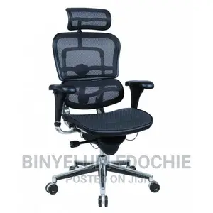 Big Egonomic Executive Net Chair