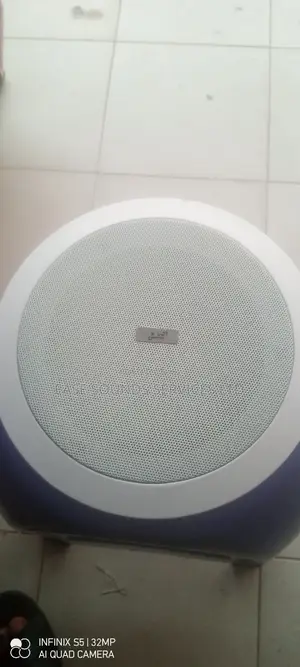 LAX 30WATTS Ceiling Speaker