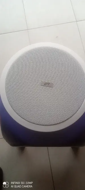 LAX 15watts Ceiling Speaker