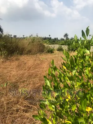 5 and Half Plot of Land Along Ikorodu Ishagamu Rd Lagos Nigeria