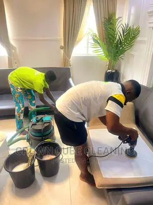 Upholstery and Sofa Cleaning Services