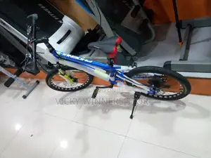 Bicycle Sport Bike