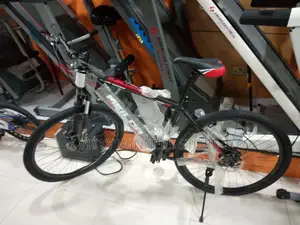 Adult Sports Bicycle