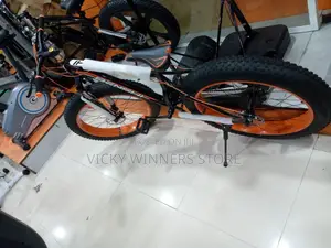 Big Tire Sports Bicycle