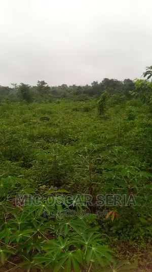 Acres of Land for Sale