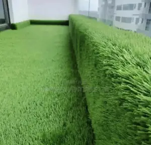 Carpet Grass 40mm Beauty of a Kind/Lawanson Surulere Lagos