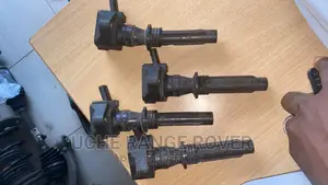 Coil for Range Rover Velar 2018