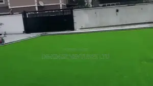 Carpet Grass Rug Astroturf / Lawanson Surulere Lagos