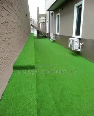World Class Grass Carpet Rug / Lawanson Surulere Lagos
