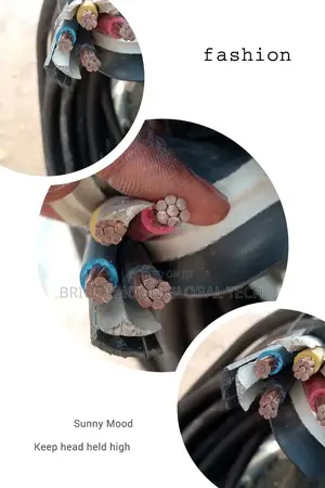 25mm 4core Ngerchin Cable PVC PVC