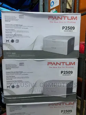 Pantum Laser Printer P2509