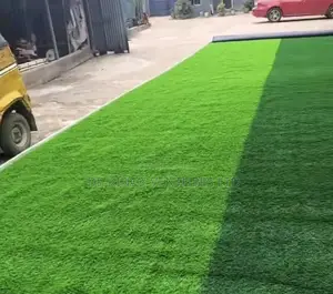 Grass Carpet Rug of Reputable Lush/Lawanson Surulere Lagos