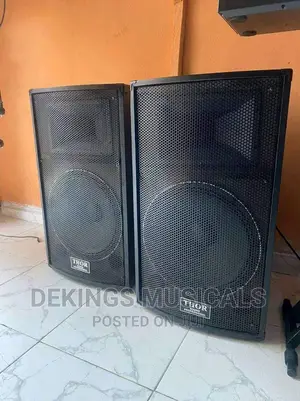Thor Single 15 Inches Passive Loud Speaker