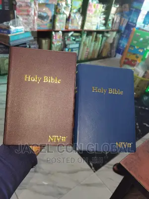 New International Version Bible (N. I. V Bible)