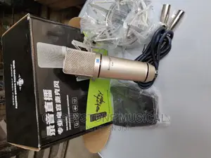 U87 Birdsinger Studio Mic