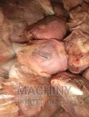 Chicken Head for Dogs