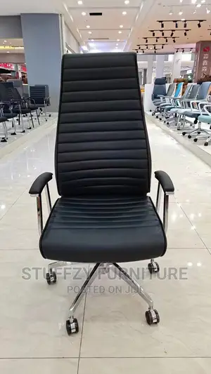 Italian Stuffzy Executive Office Chairs