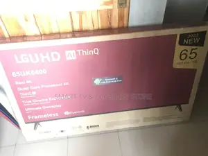 65 Inches Voice Activated TV #320