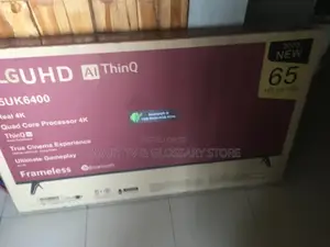 65inches Voice Activated #320