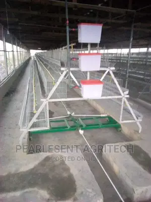 Hot Dipped Battery Cage 120 Birds Capacity