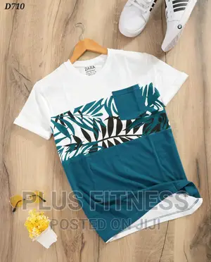 Zara Unisex Quality Shirts
